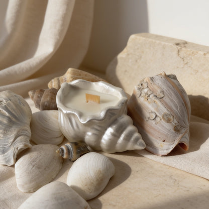Velas Amato Caracol
